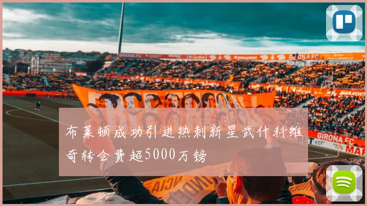 布莱顿成功引进热刺新星武什科维奇转会费超5000万镑