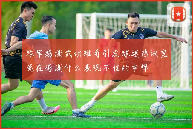 绿军感谢武切维奇引发球迷热议究竟在感谢什么表现不佳的中锋
